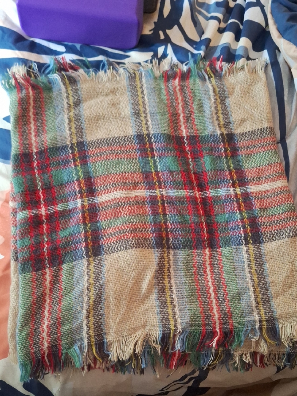 Plaid Fringed Scarf